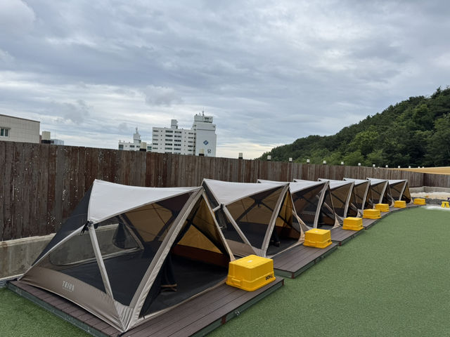 도심 속 자연 카페
