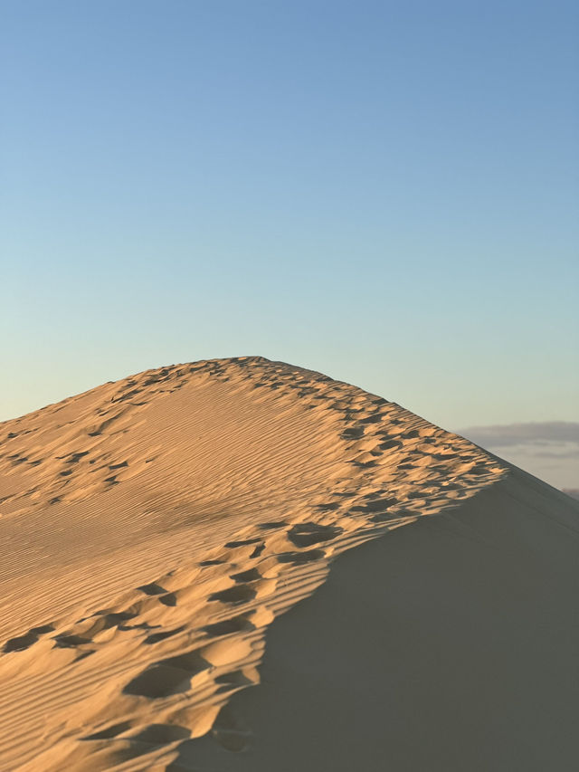 Sahara’s Holy Trinity: Fire, Gold And Stardust