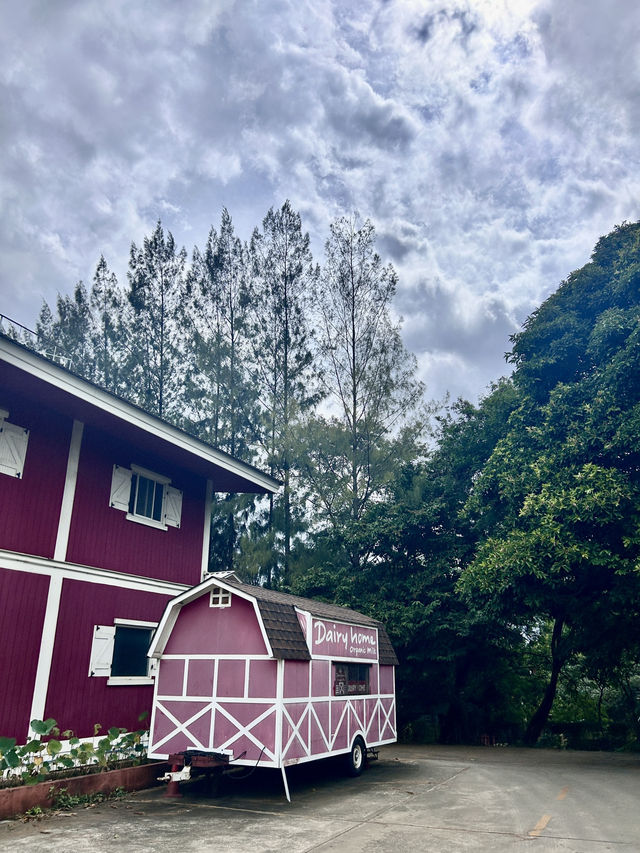 🥩🌾 “เดอรี่โฮม ปากช่อง โคราช 