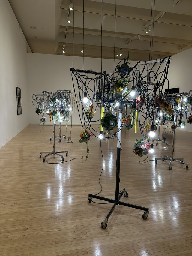 MOCA 洛杉磯當代藝術博物館 | 藝術家創立的當代藝術聖地 🎨