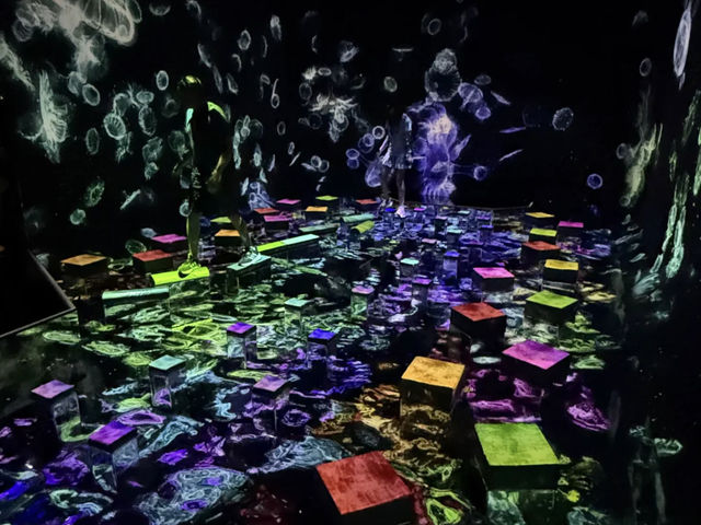 TeamLab Planets Tokyo: Tokyo's Most Engaging Art Experience! 🌟👣