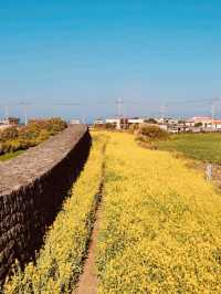 Scenic Views of the Ocean and Surrounding Landscape
