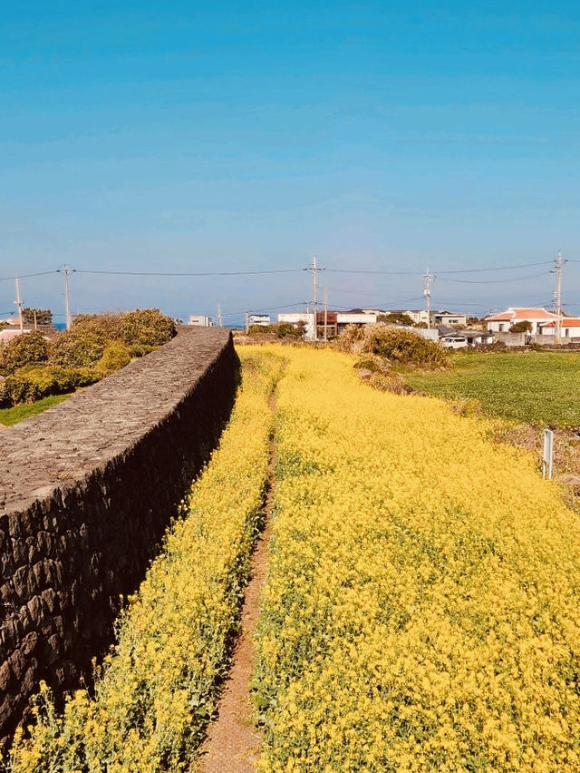 Scenic Views of the Ocean and Surrounding Landscape