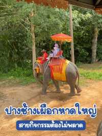 ปางช้างเผือกหาดใหญ่