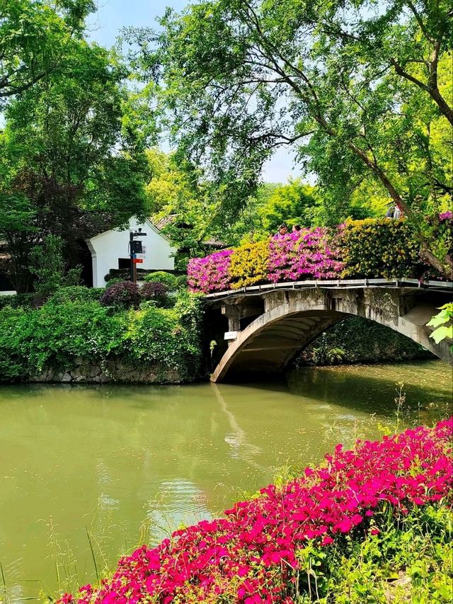 Hangzhou’s Liquid Emerald – Where Canals, Poetry & Biodiversity Coexist