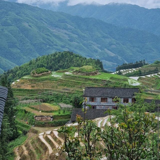 Longji Rice Terraces (Guangxi)