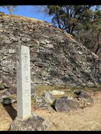 【名護屋城跡】戦国ロマンに浸る、歴史と自然の旅🏯🍃