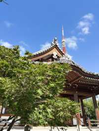 Tokyo Tower & Temple: A fairytale in Minato 🗼⛩️🇯🇵