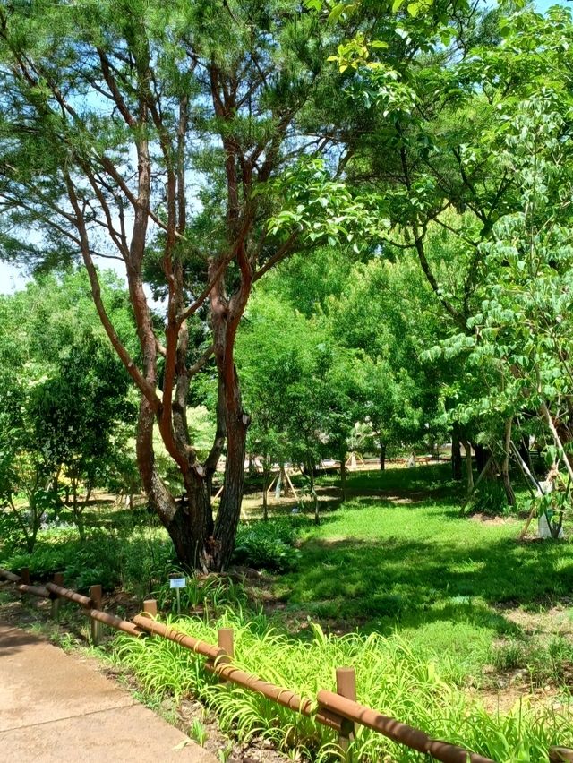 숲길 위의 산책, 진주 수목원