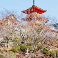 日本京都 清水寺與周邊景點