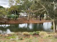 Burra Jinker
