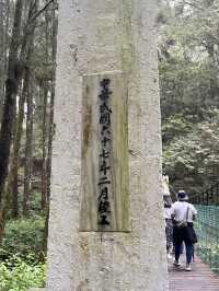 🌲 Walk Among the Clouds: Alishan Suspension Bridge