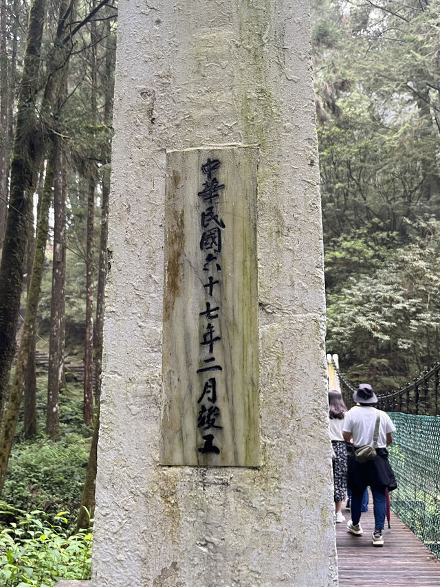 🌲 Walk Among the Clouds: Alishan Suspension Bridge