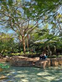 Tropical River at Discovery Cove Orlando | Lazy River Meets Luxury Spa