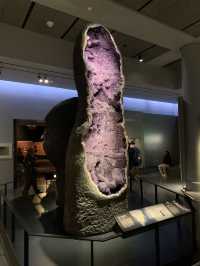 自然歷史博物館