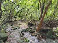 Walking the Jinbaoli Trail Like a Time Traveler with Sore Legs