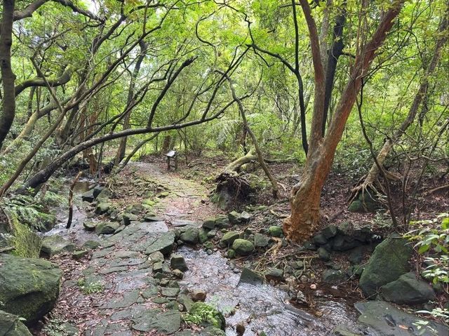 Walking the Jinbaoli Trail Like a Time Traveler with Sore Legs