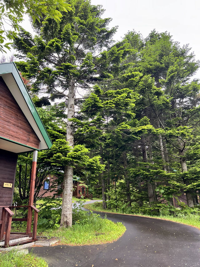 【北海道利尻島】利尻島ファミリーキャンプ場ゆーに✨