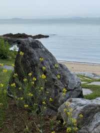 고요한 섬 마을, 목포에서 배를 타고 들어가야 만날 수 있는 외달도