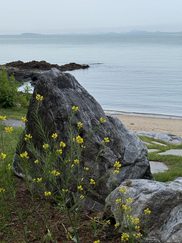 고요한 섬 마을, 목포에서 배를 타고 들어가야 만날 수 있는 외달도 고요한 섬 마을, 목포에서 배를 타고 들어가야 만날 수 있는 외달도