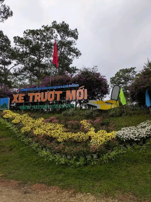 Unforgettable Ride at Datanla New Alpine Coaster — Dalat’s Hidden Thrill! 🎢🌲