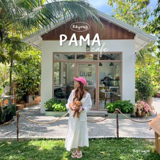 Newly opened cafe in Rayong, so cute! 🌴🪿