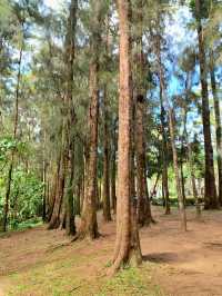 Baguio Botanical Garden: A Peaceful Nature Escape