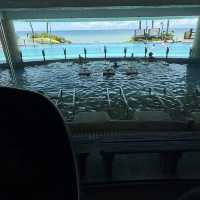 🏖 墾丁・夏都沙灘酒店｜沉醉在海的藍｜電車免費