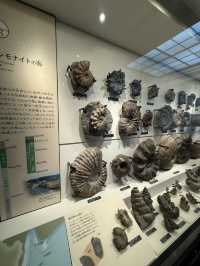 【東京】恐竜から宇宙まで、日本の自然史と科学のすべてがここに