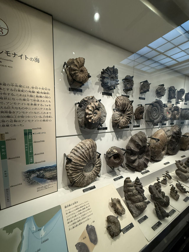 【東京】恐竜から宇宙まで、日本の自然史と科学のすべてがここに