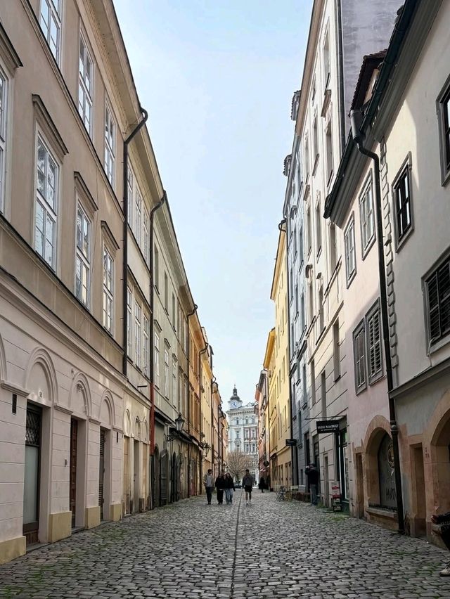 Historic Charm and Vibrant Streets in Praha