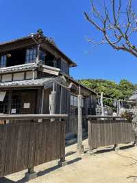 【小豆島】  日本映画、文学のテーマパーク  1500本のひまわり
