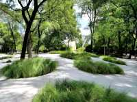 Relaxing Stroll at Zhongshan Park Shanghai