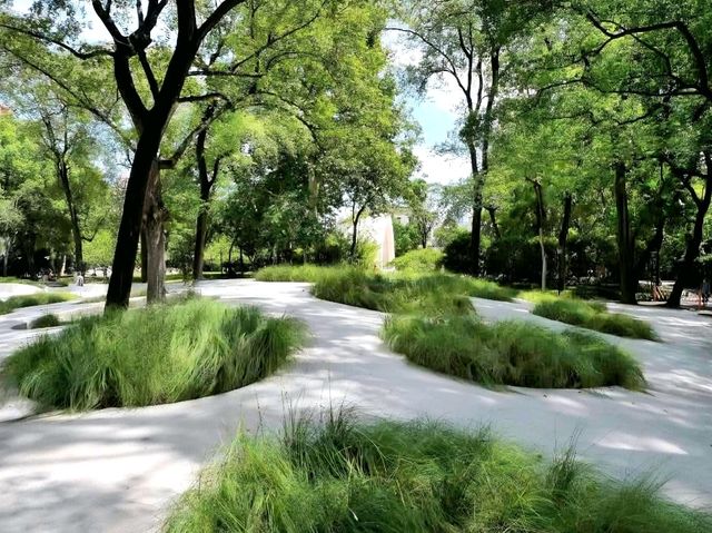 Relaxing Stroll at Zhongshan Park Shanghai