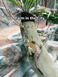 Farm in the City – Fun-Filled, Family-Friendly Zoo Adventure