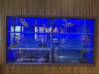 🦀 Fei Fei Crab Restaurant (肥肥蟹海鲜饭店) Eco Botanic – Crab Feast with Potential