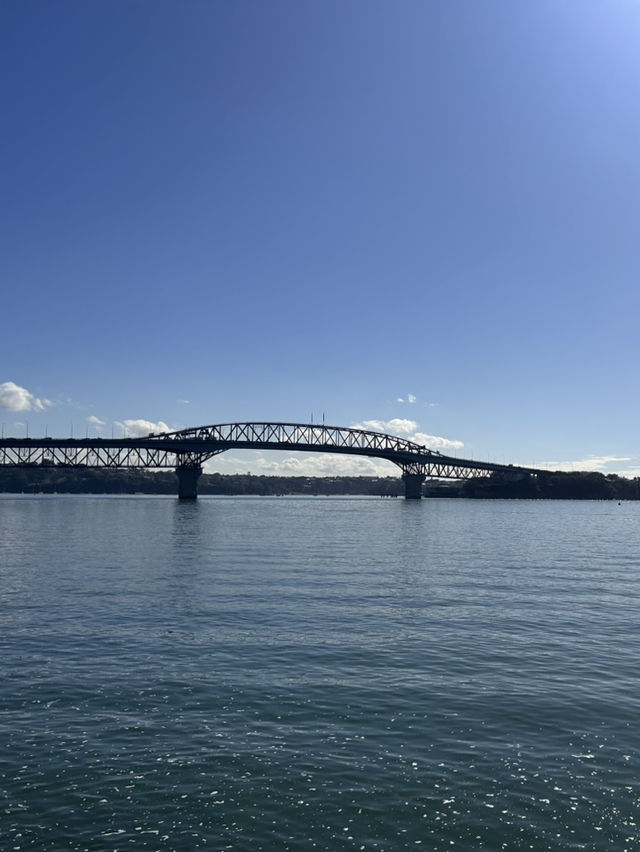 ニュージーランド最大の都市オークランド🇳🇿