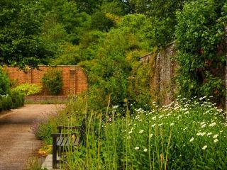 🌳 ทิลเกต พาร์ค – สวรรค์สีเขียวแห่งครอว์ลีย์ 🌸🦋🇬🇧