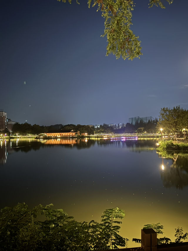 전주대 옆, 야경이 아름다운 호수 [전주 덕진공원] ✨