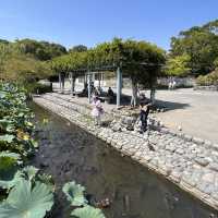 The Setting: Genpei Pond (源平池 - Genpei Ike)