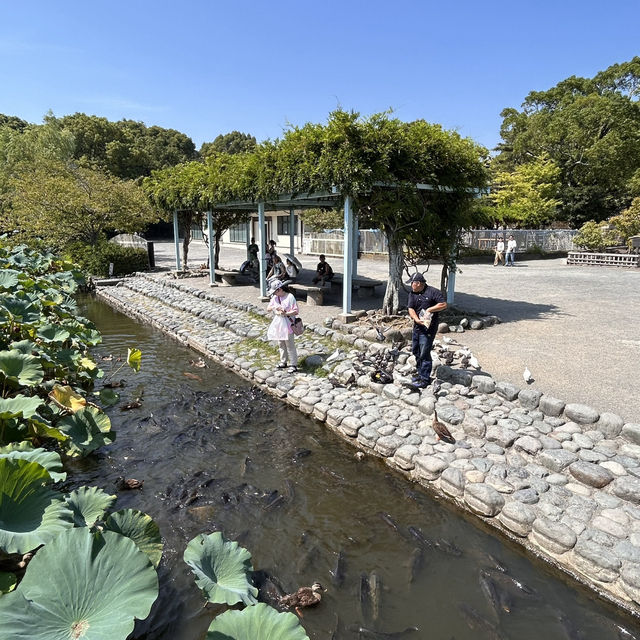 The Setting: Genpei Pond (源平池 - Genpei Ike)