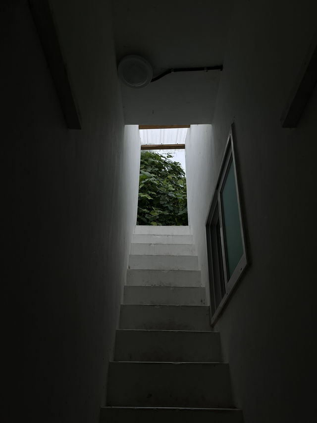 거제 | 과거 역사가 담겨있는 이색적인 카페 ‘두록‘ 🌲