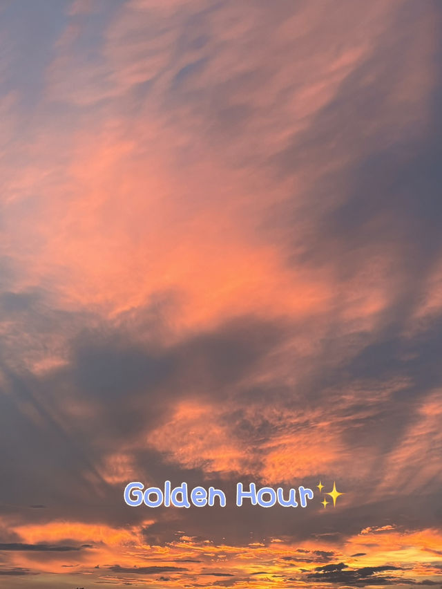 แชร์แพลนเที่ยวพัทยากับน้องแมว 2 วัน 1 คืน 🌅✨