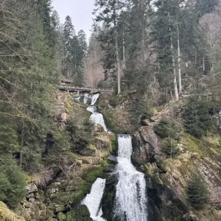 Triberg Travel Guide 2026: Top Attractions, Things to do & Itinerary |  Trip.com | June 2026