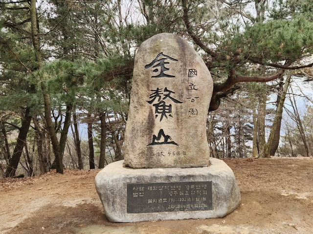 A Walk Through History: My Solo Hike Up Mt. Namsan
