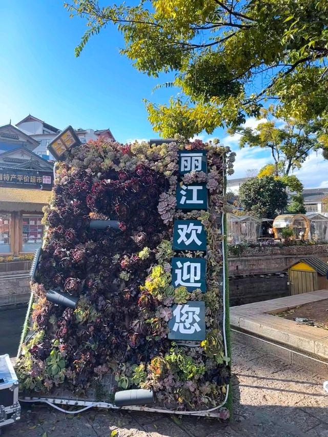 🇨🇳 Lijiang, Yunnan