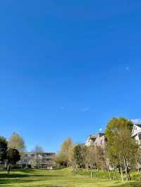 Otomeyama Park: A Peaceful Urban Retreat in Tokyo