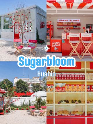 เติมสีแดงสดใสให้หัวใจที่ Sugar Bloom ❤️🍭