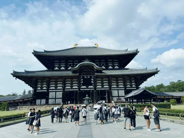 吃吃喝喝的大阪8天7日行程🤤