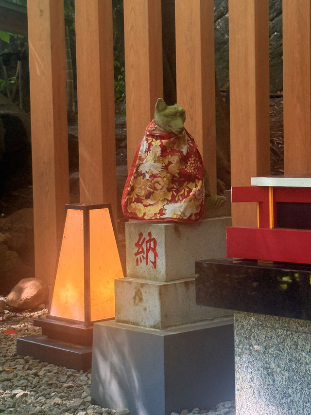 熱海｜隱身在樹林中來宮神社 繞神木一圈能延命一年傳說